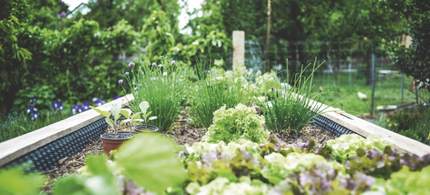 Jardin